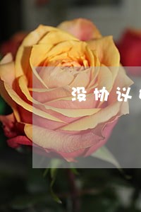 没协议好离婚 房产证 没协议好离婚 房产证